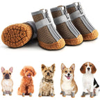 Dog boots with a white background and small dogs wearing the boots.