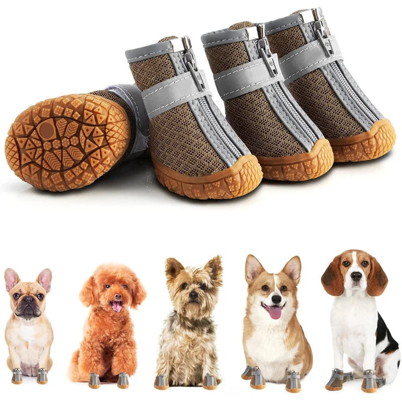 Dog boots with a white background and small dogs wearing the boots.