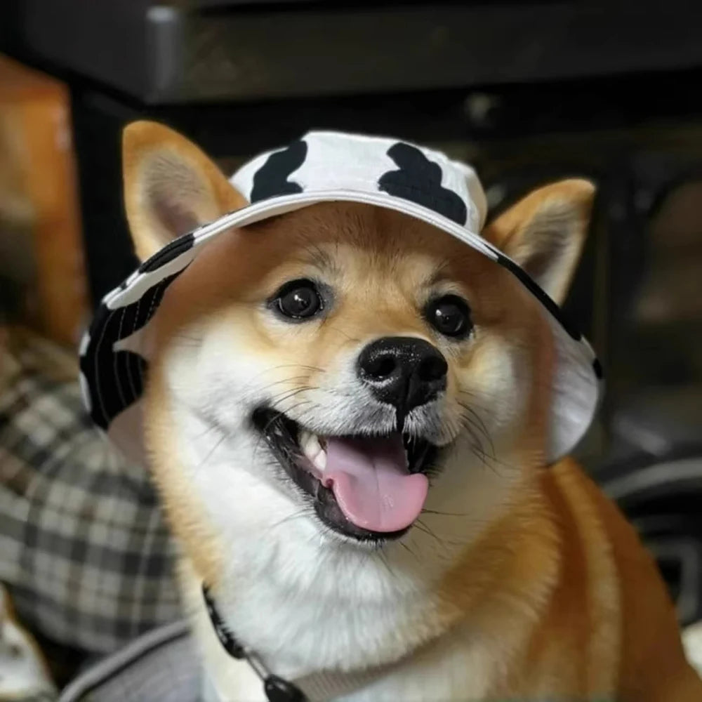 Adjustable Cat Dog Bucket Hat