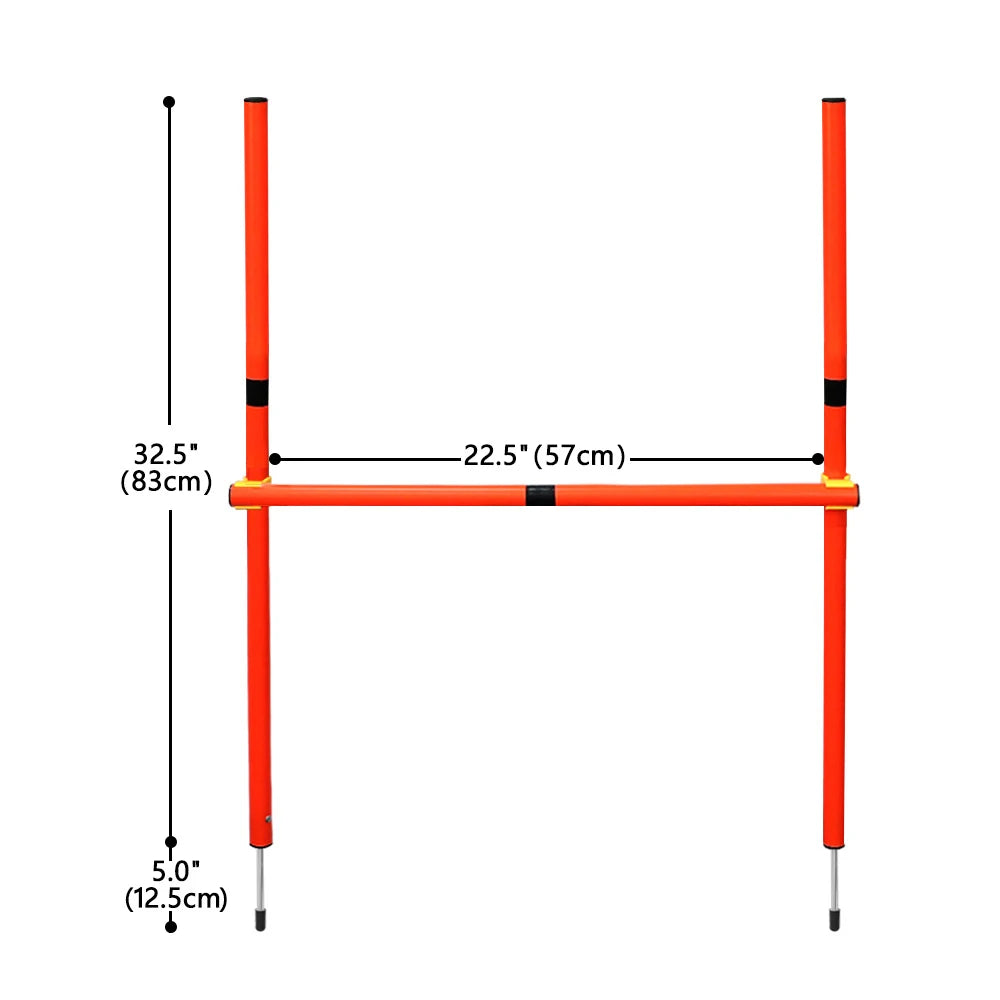 Dog Agility Training Equipment