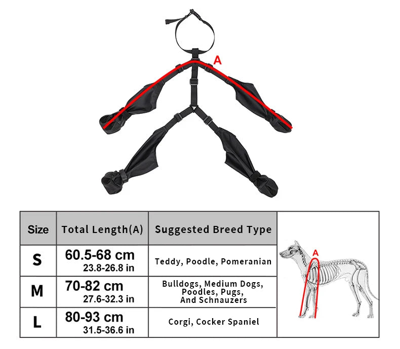 Dog harness with measurement chart and size guide on a white background