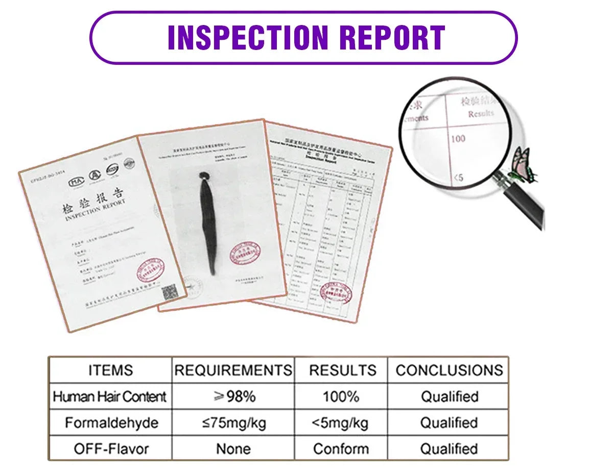 Inspection report with hair sample and magnifying glass on a white background