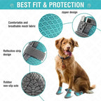 Dog wearing blue protective boots with features highlighted on a white background