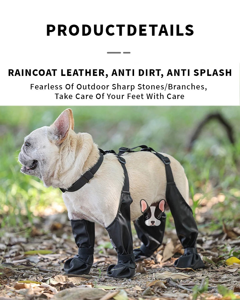 Dog wearing a black raincoat with text about its features on a natural background