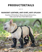 Dog wearing a black raincoat with text about its features on a natural background