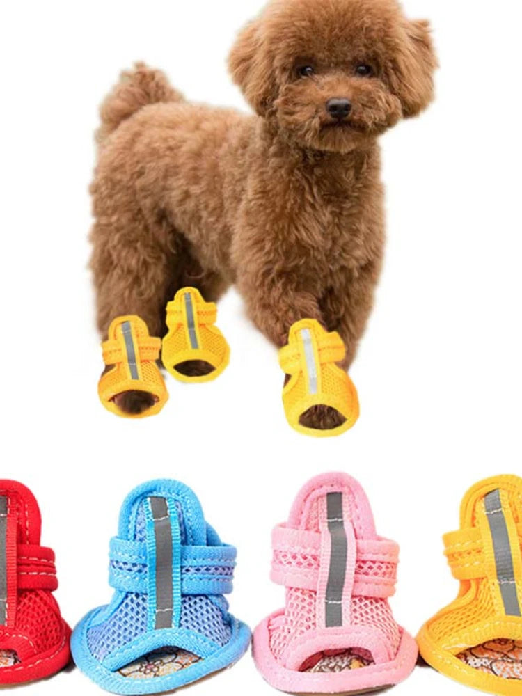 Small brown dog wearing yellow pet boots with a set of colorful pet boots displayed below on a white background.