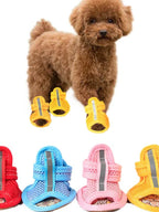 Small brown dog wearing yellow pet boots with a set of colorful pet boots displayed below on a white background.