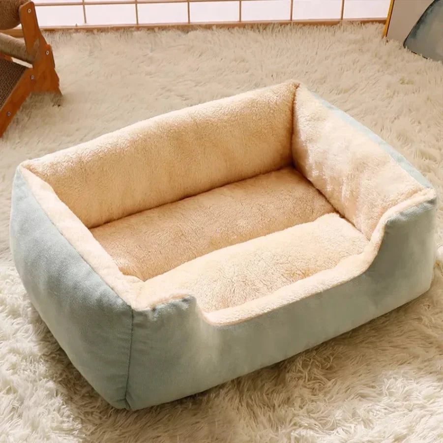 Bed for Cats Pet Products Cushions Kitten Goods Accessories Dog All Houses Supplies