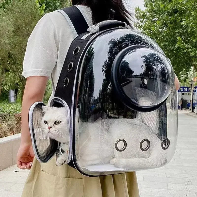 Transparent Portable Carrier Backpack