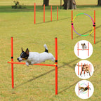 Dog Agility Training Equipment