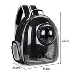 Transparent Portable Carrier Backpack