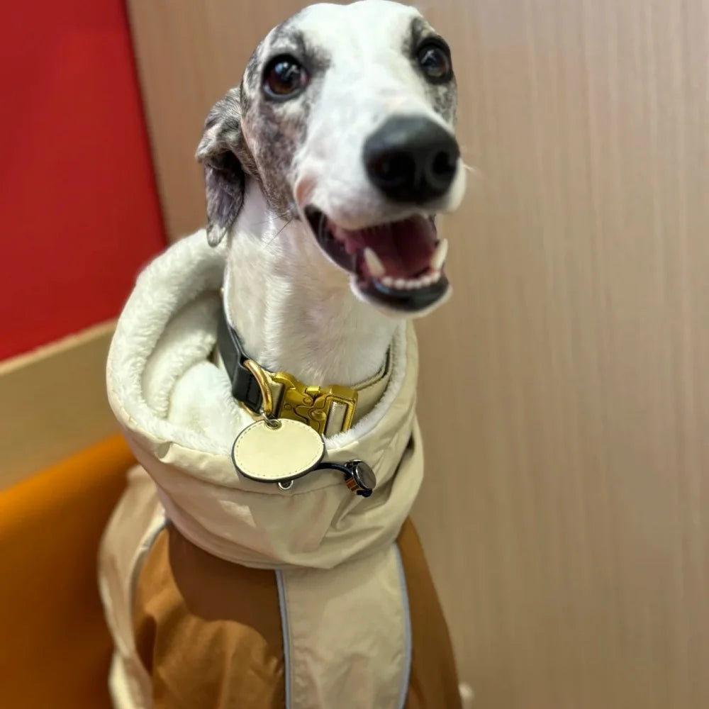 Dog Clothes in Winter Snow Weather Thicken Plush 4-legged Khaki Jacket Windproof Waterproof Warm Coat for Italy Greyhound