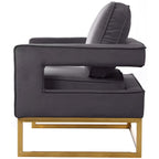 Meridian Furniture Noah Gray Velvet Accent Chair with Gold Iron Base
