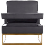 Meridian Furniture Noah Gray Velvet Accent Chair with Gold Iron Base