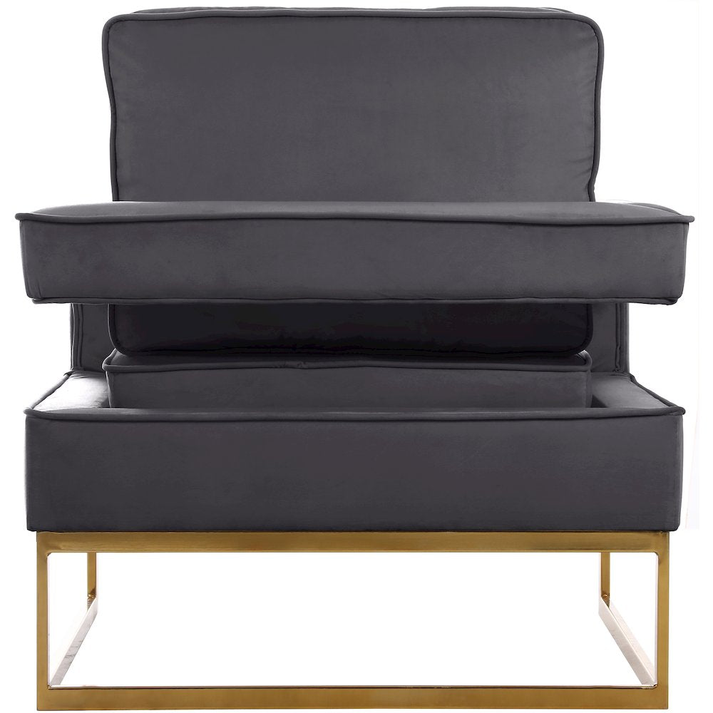 Meridian Furniture Noah Gray Velvet Accent Chair with Gold Iron Base